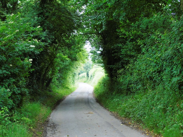 The Hollow